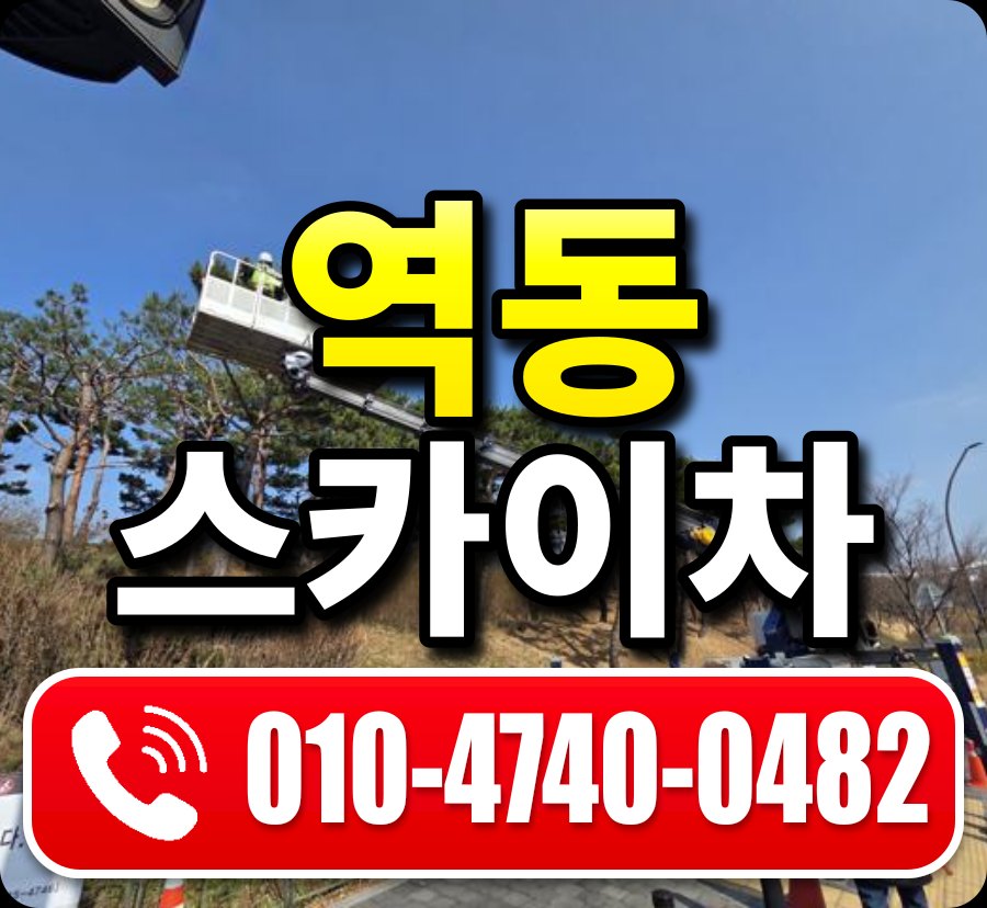 역동 스카이차 010-4740-0482