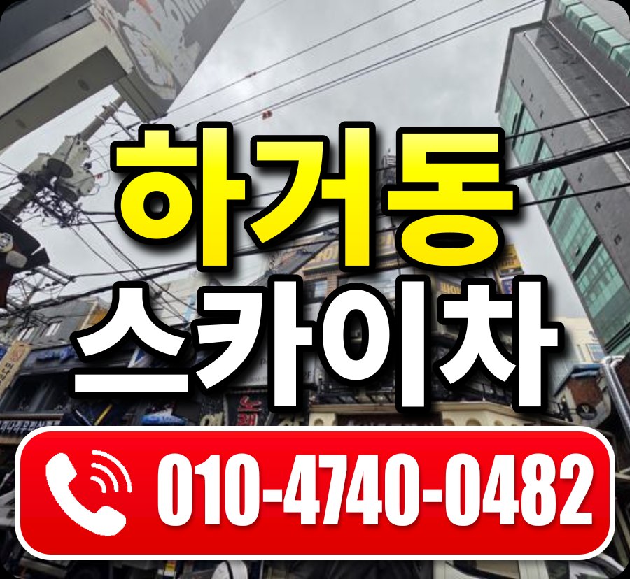 하거동 스카이차 010-4740-0482