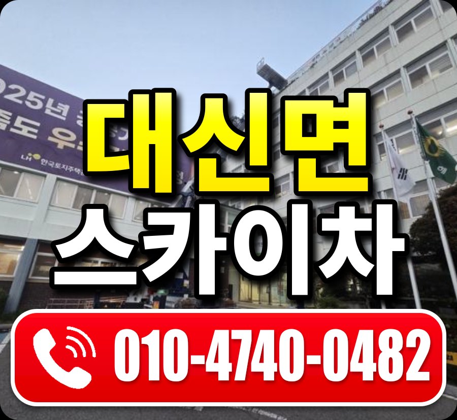 대신면 스카이차 010-4740-0482