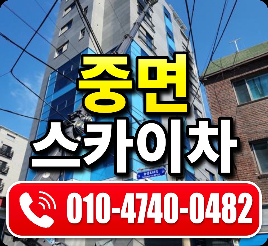 중면 스카이차 010-4740-0482