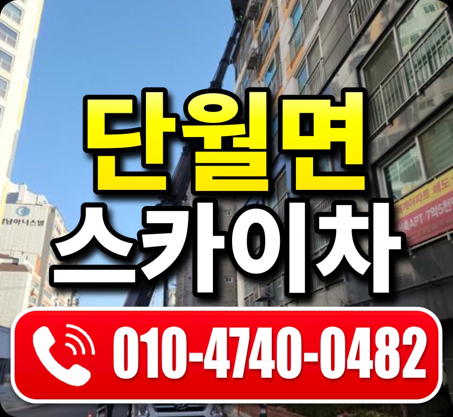 단월면 스카이차 010-4740-0482