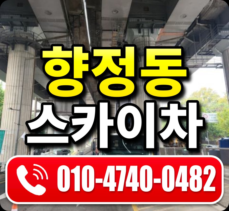 향정동 스카이차 010-4740-0482