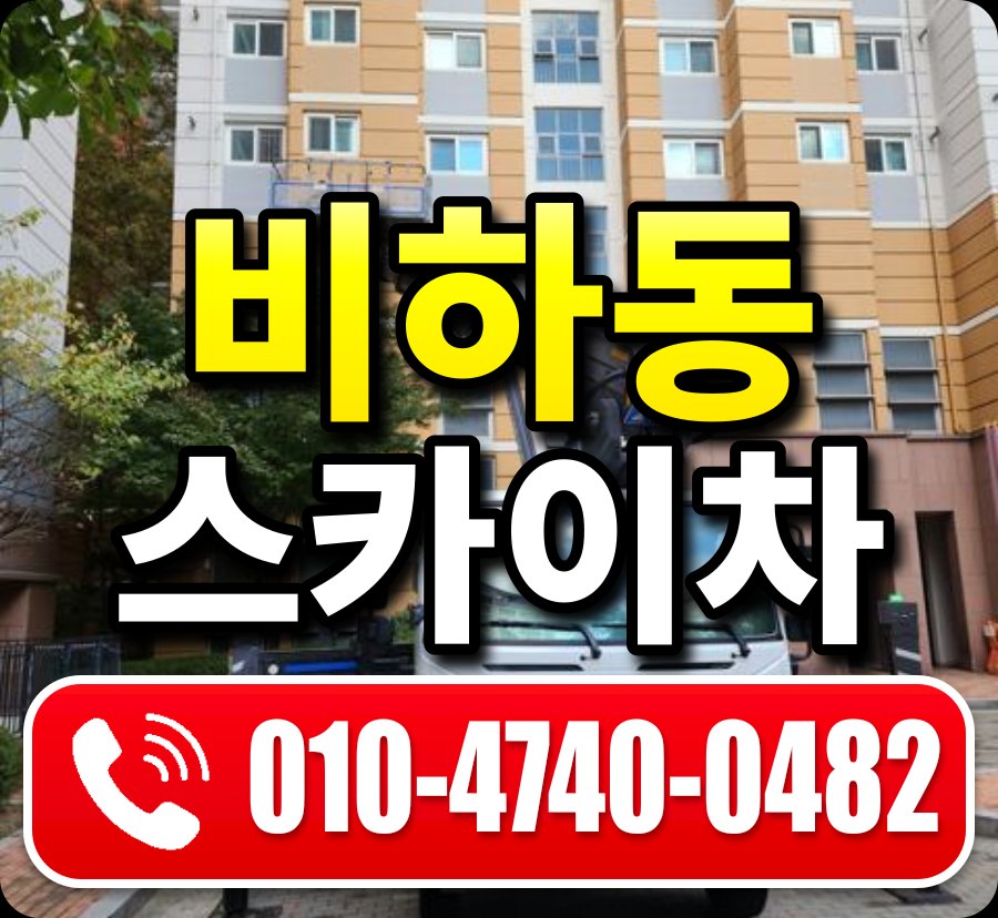 비하동 스카이차 010-4740-0482