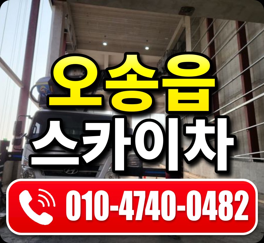 오송읍 스카이차 010-4740-0482