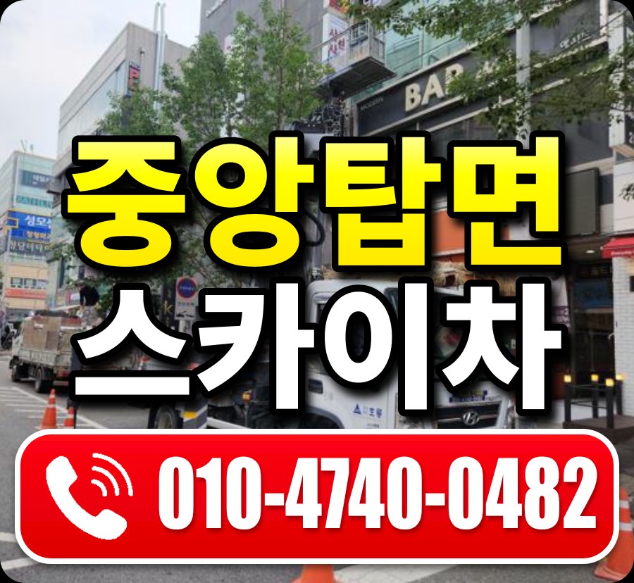 중앙탑면 스카이차 010-4740-0482
