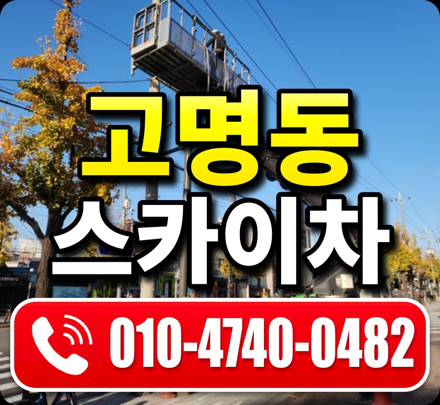 고명동 스카이차 010-4740-0482
