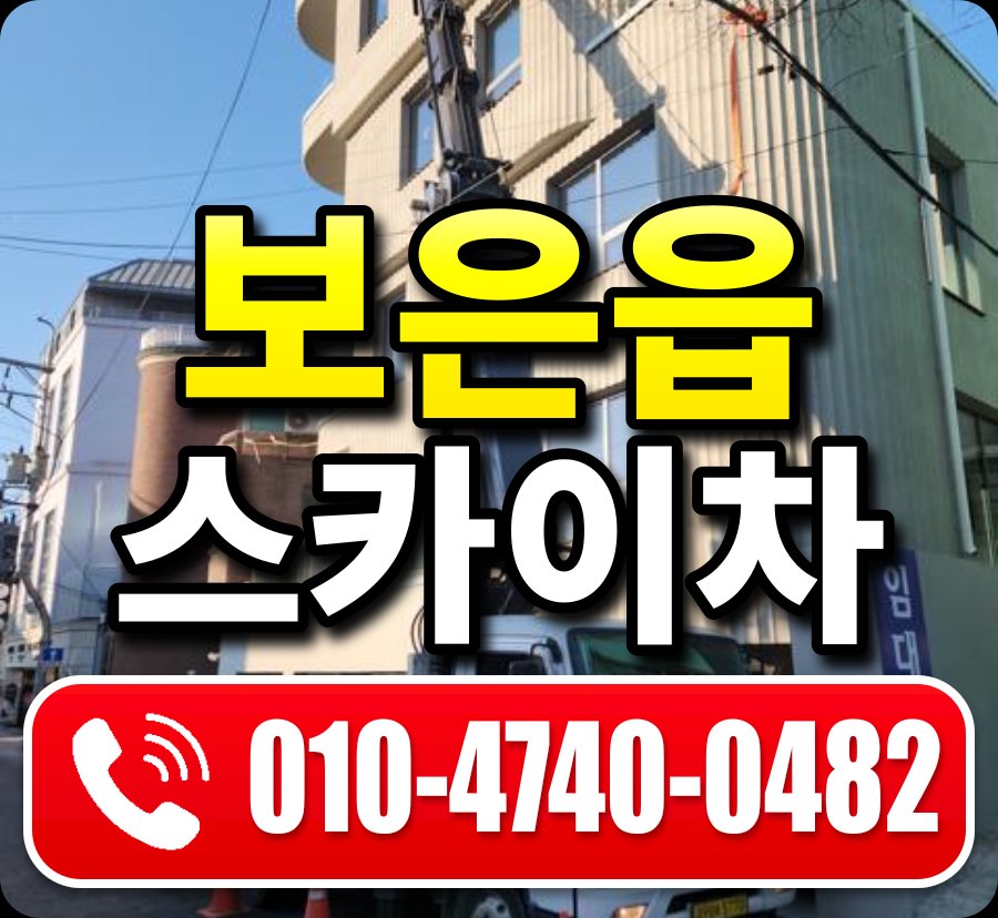 보은읍 스카이차 010-4740-0482