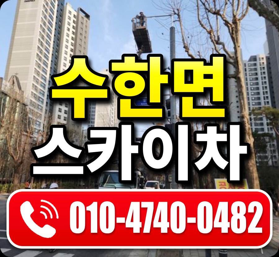 수한면 스카이차 010-4740-0482