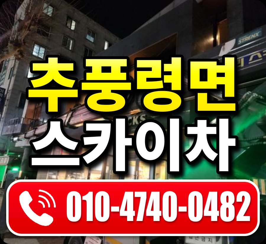 추풍령면 스카이차 010-4740-0482