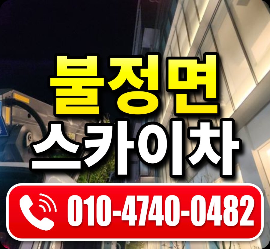 불정면 스카이차 010-4740-0482