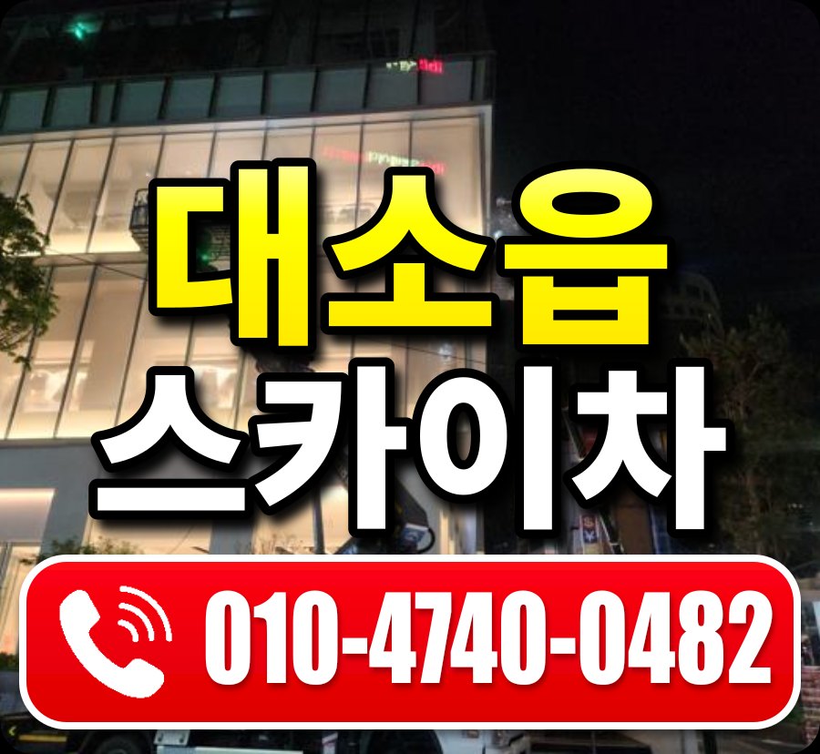 대소읍 스카이차 010-4740-0482