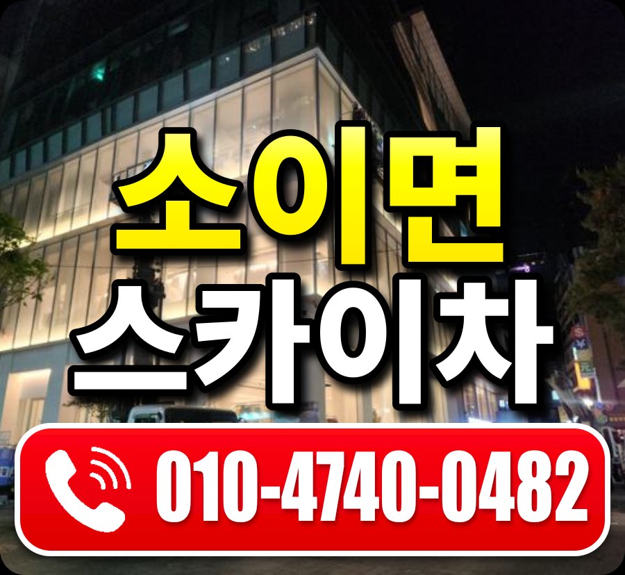 소이면 스카이차 010-4740-0482