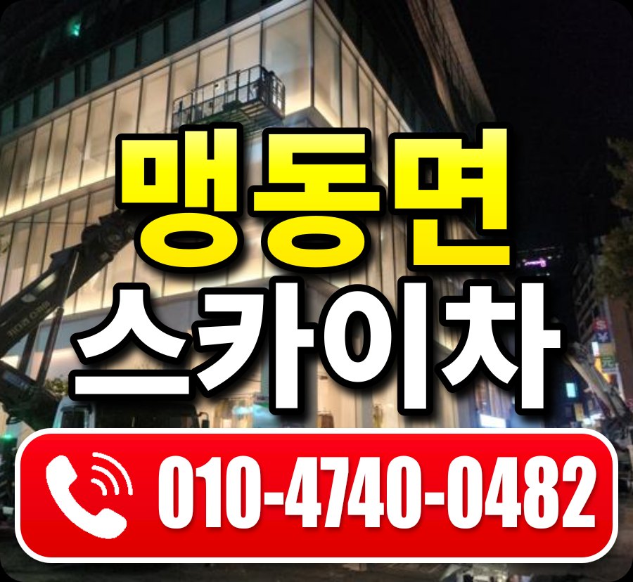 맹동면 스카이차 010-4740-0482