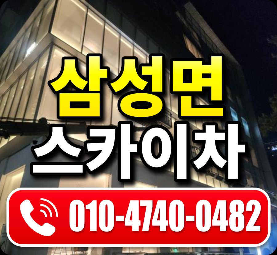 삼성면 스카이차 010-4740-0482