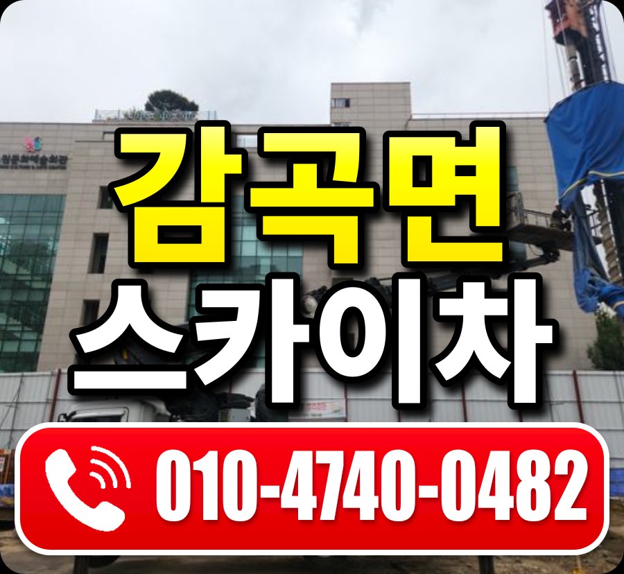 감곡면 스카이차 010-4740-0482