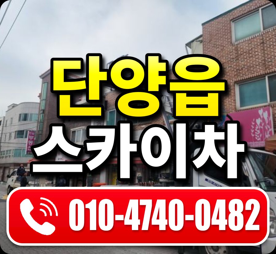 단양읍 스카이차 010-4740-0482
