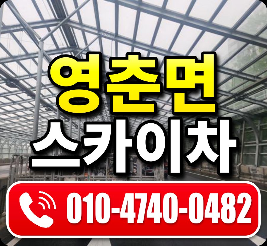 영춘면 스카이차 010-4740-0482