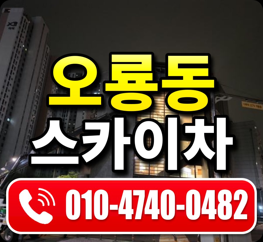 오룡동 스카이차 010-4740-0482