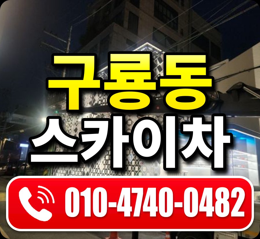 구룡동 스카이차 010-4740-0482
