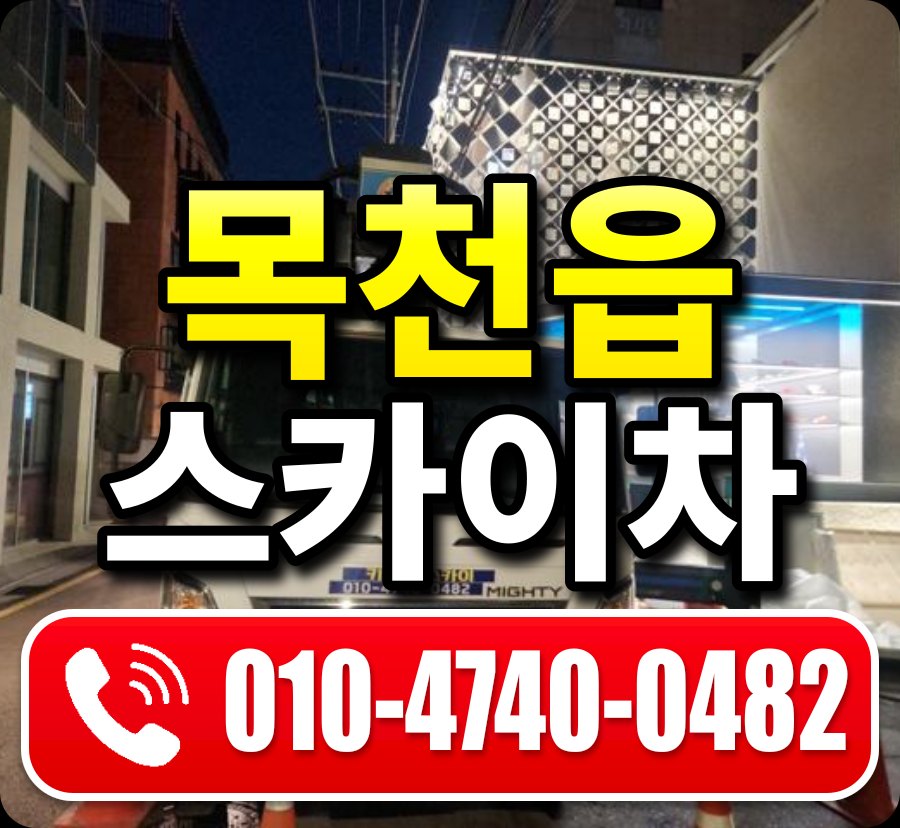 목천읍 스카이차 010-4740-0482