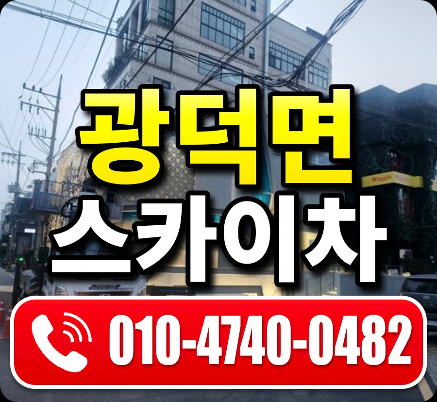 광덕면 스카이차 010-4740-0482