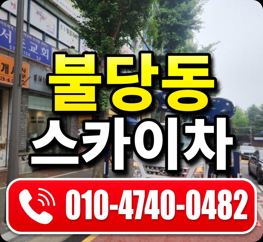 불당동 스카이차 010-4740-0482