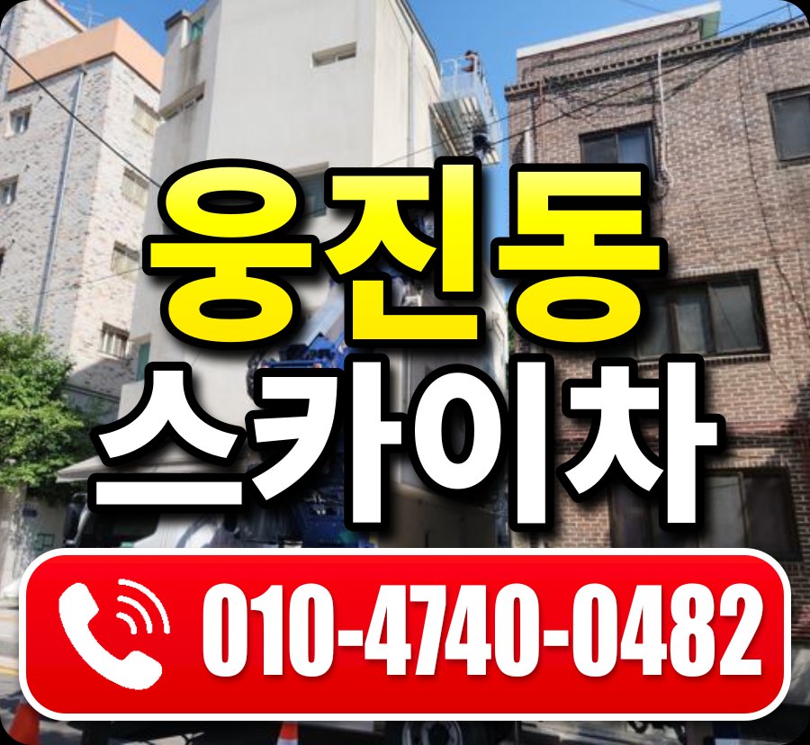 웅진동 스카이차 010-4740-0482