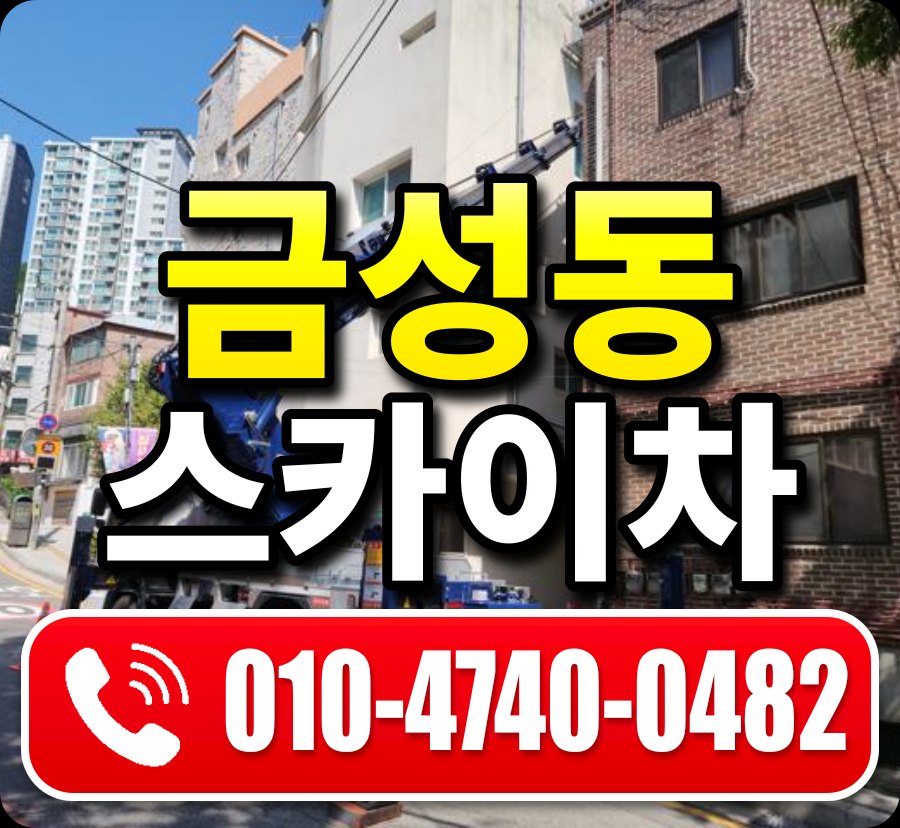 금성동 스카이차 010-4740-0482