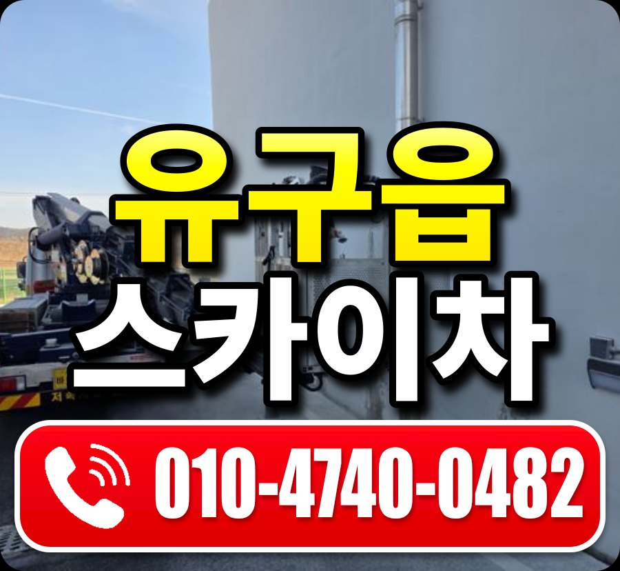 유구읍 스카이차 010-4740-0482