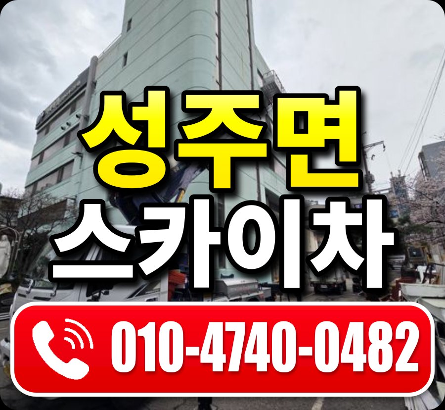 성주면 스카이차 010-4740-0482