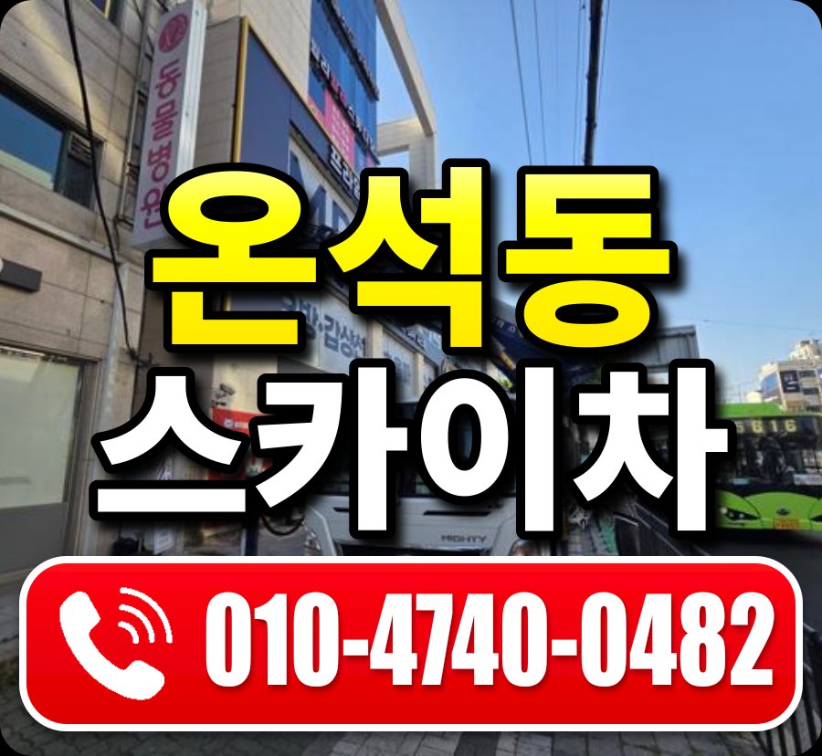 온석동 스카이차 010-4740-0482