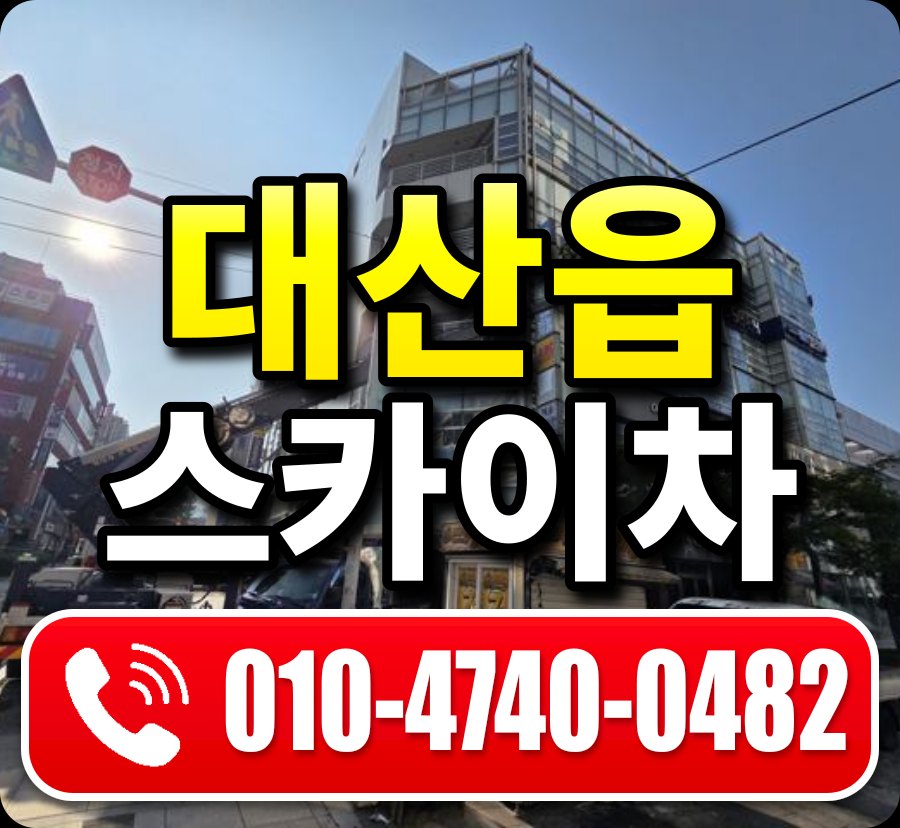 대산읍 스카이차 010-4740-0482