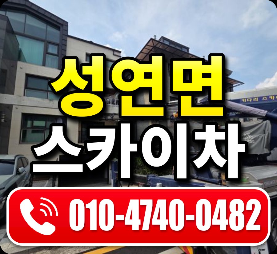 성연면 스카이차 010-4740-0482