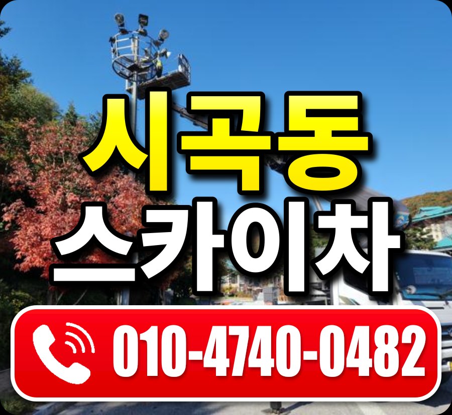 시곡동 스카이차 010-4740-0482