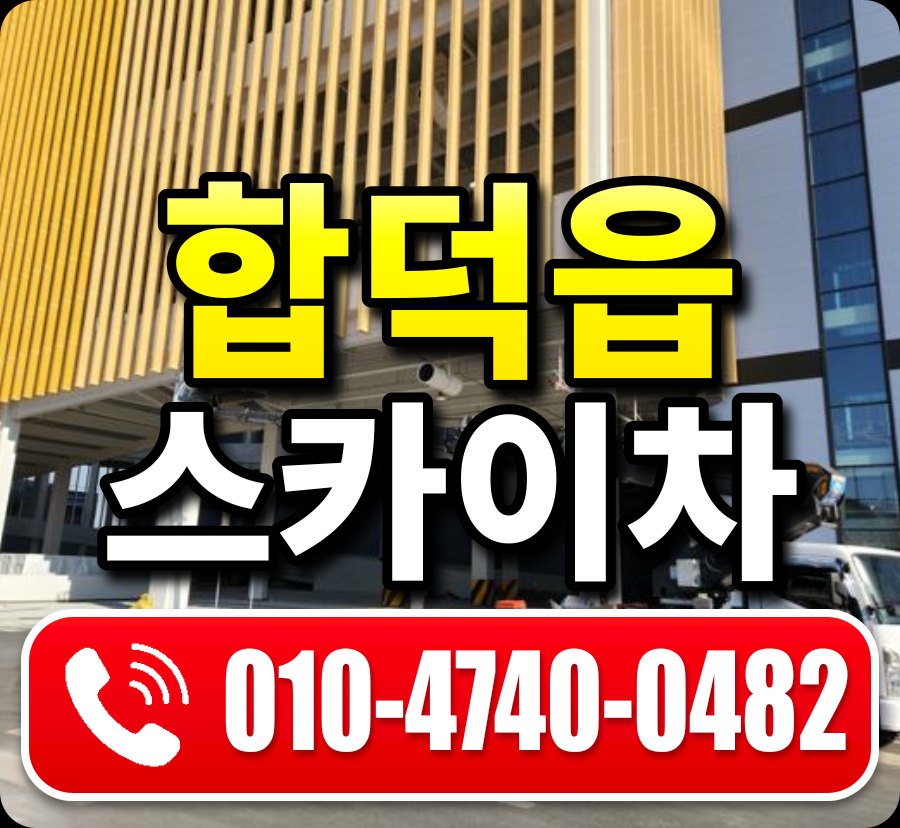 합덕읍 스카이차 010-4740-0482