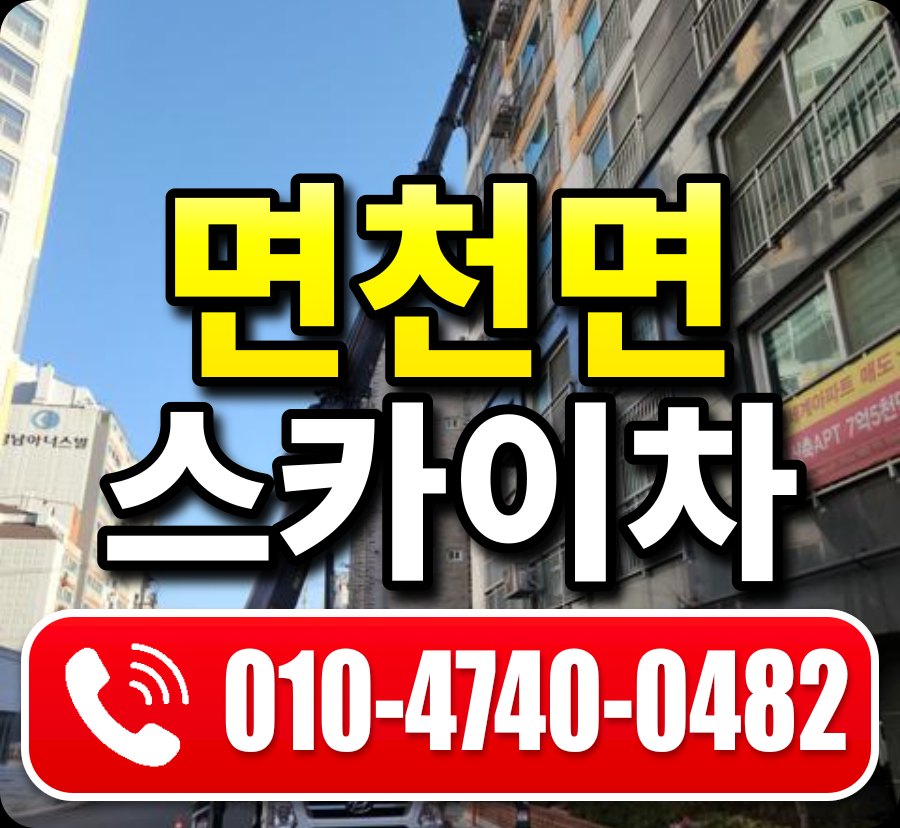 면천면 스카이차 010-4740-0482