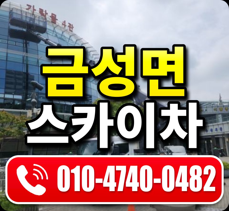 금성면 스카이차 010-4740-0482