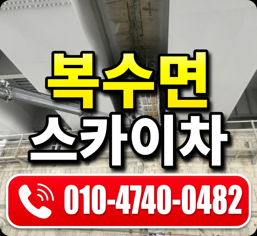 복수면 스카이차 010-4740-0482