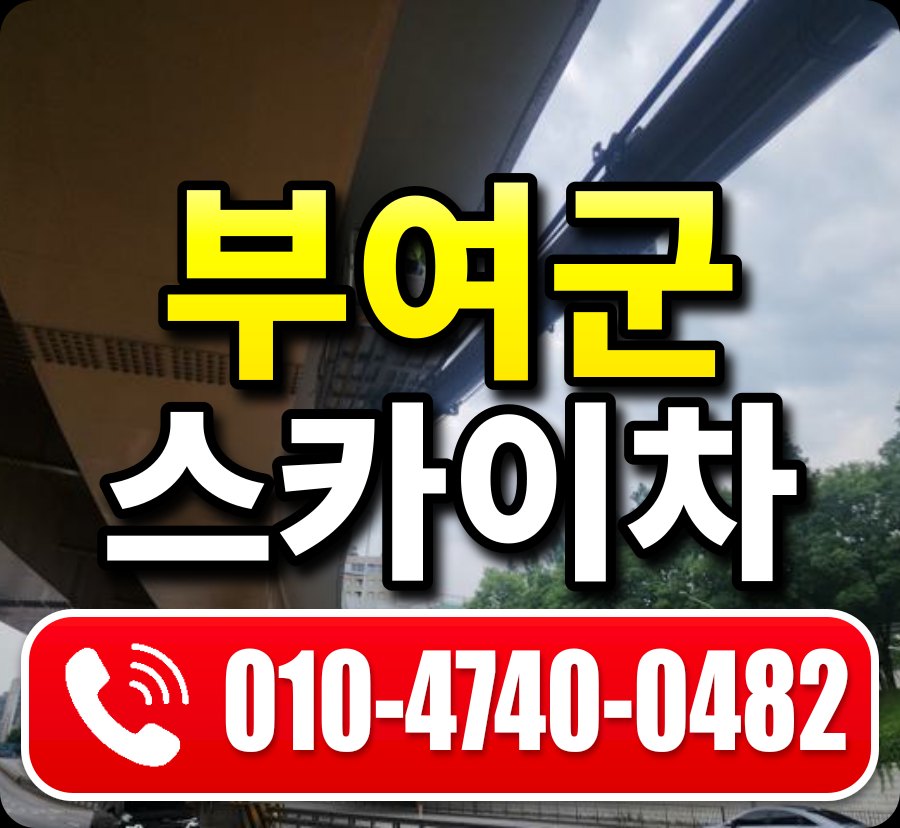 부여군 스카이차 010-4740-0482