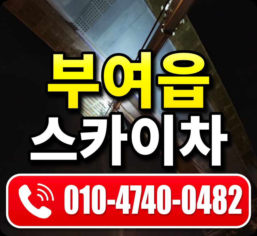 부여읍 스카이차 010-4740-0482