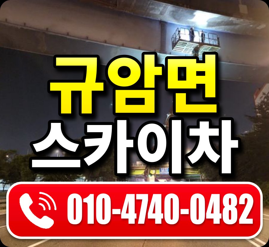 규암면 스카이차 010-4740-0482