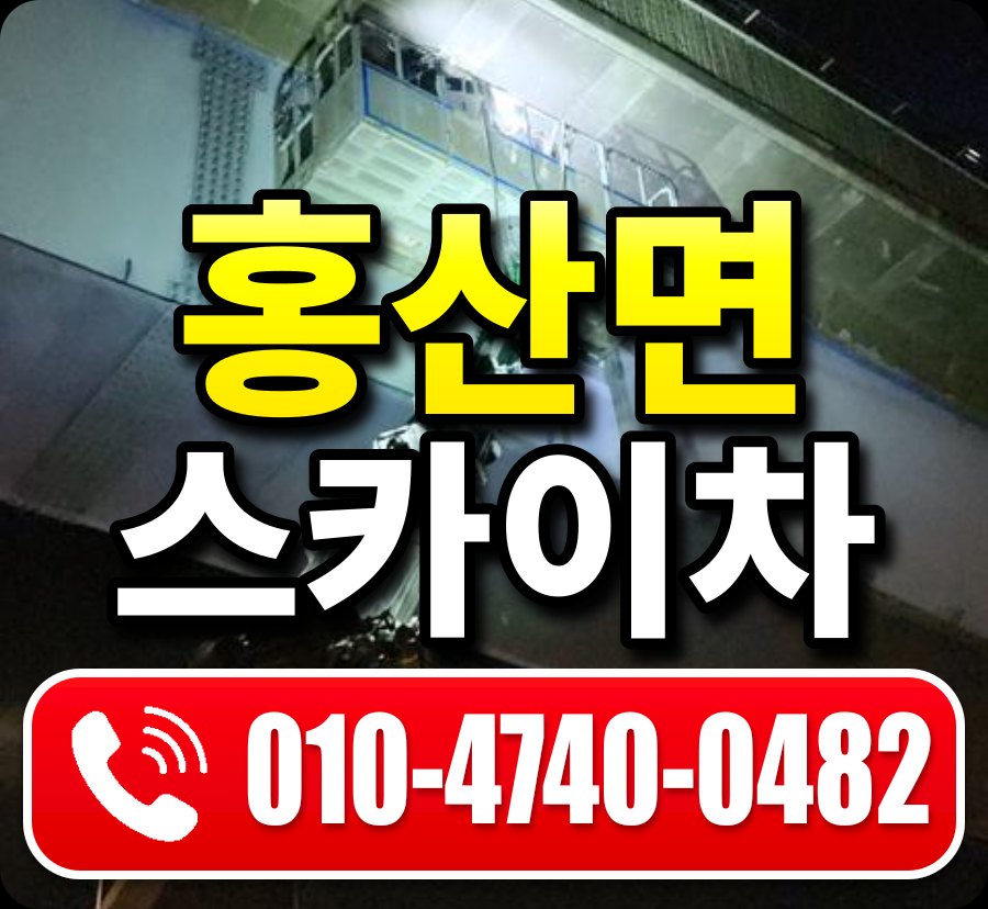 홍산면 스카이차 010-4740-0482
