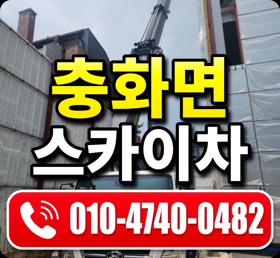 충화면 스카이차 010-4740-0482