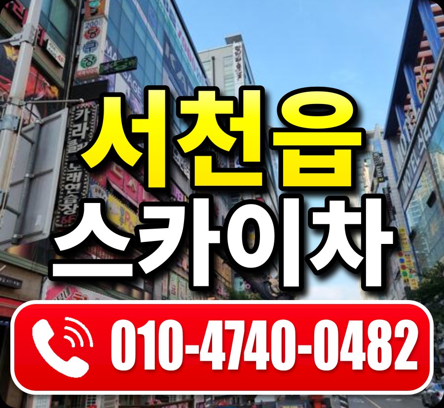 서천읍 스카이차 010-4740-0482