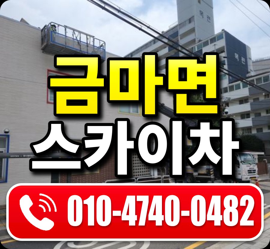금마면 스카이차 010-4740-0482