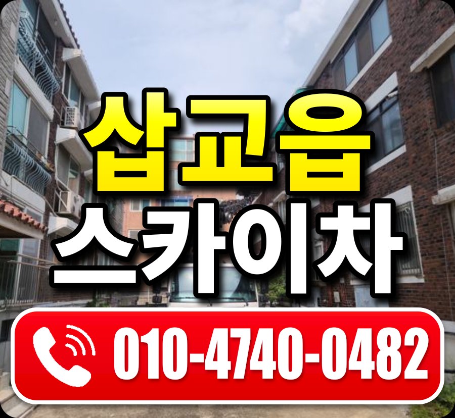 삽교읍 스카이차 010-4740-0482