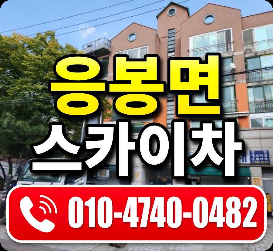 응봉면 스카이차 010-4740-0482