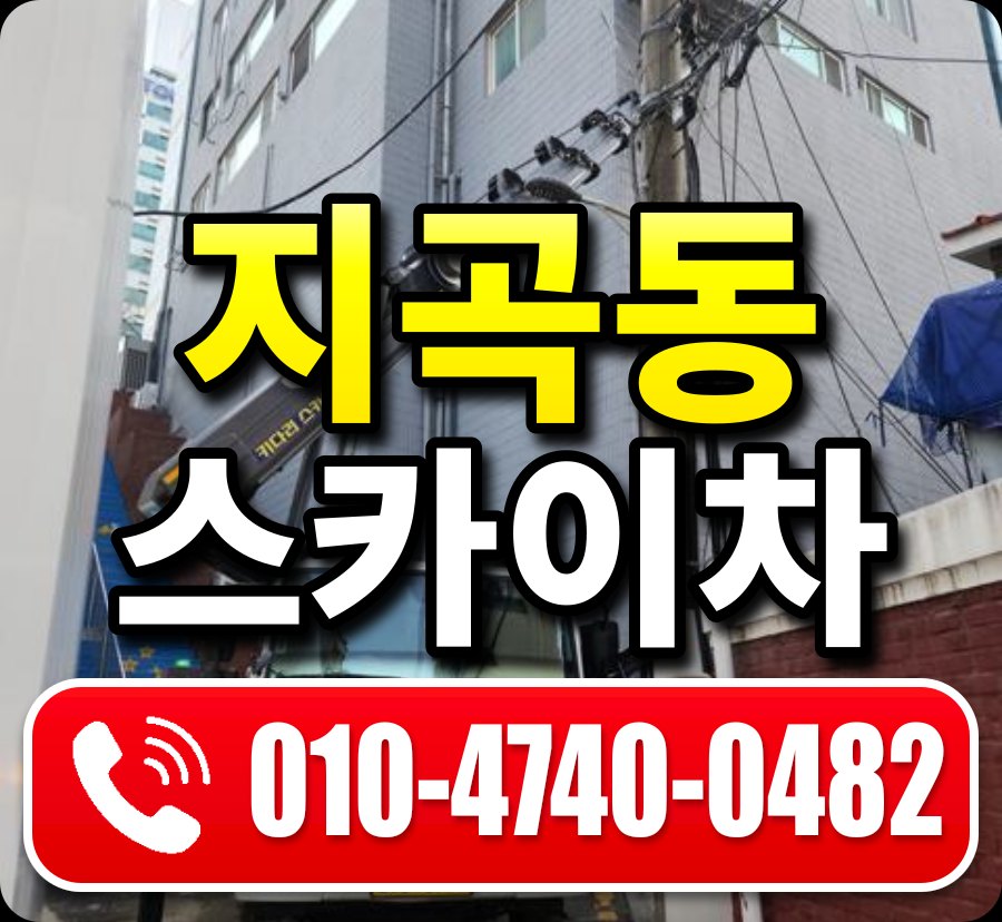 지곡동 스카이차 010-4740-0482