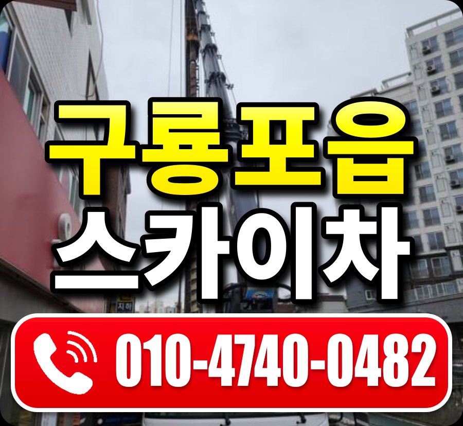 구룡포읍 스카이차 010-4740-0482