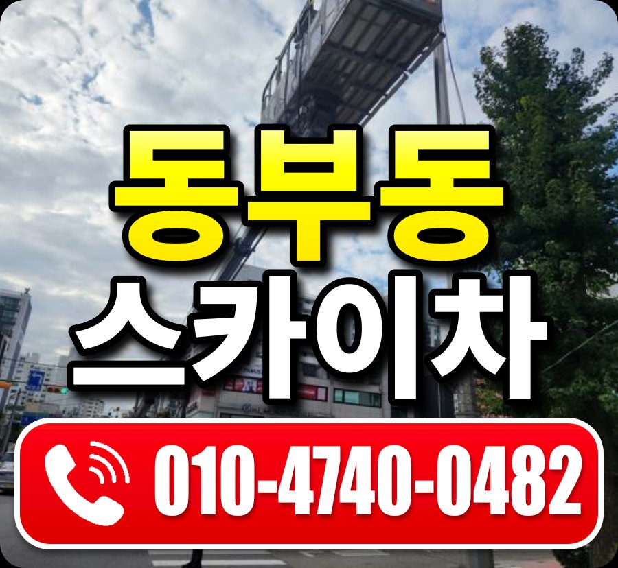 동부동 스카이차 010-4740-0482